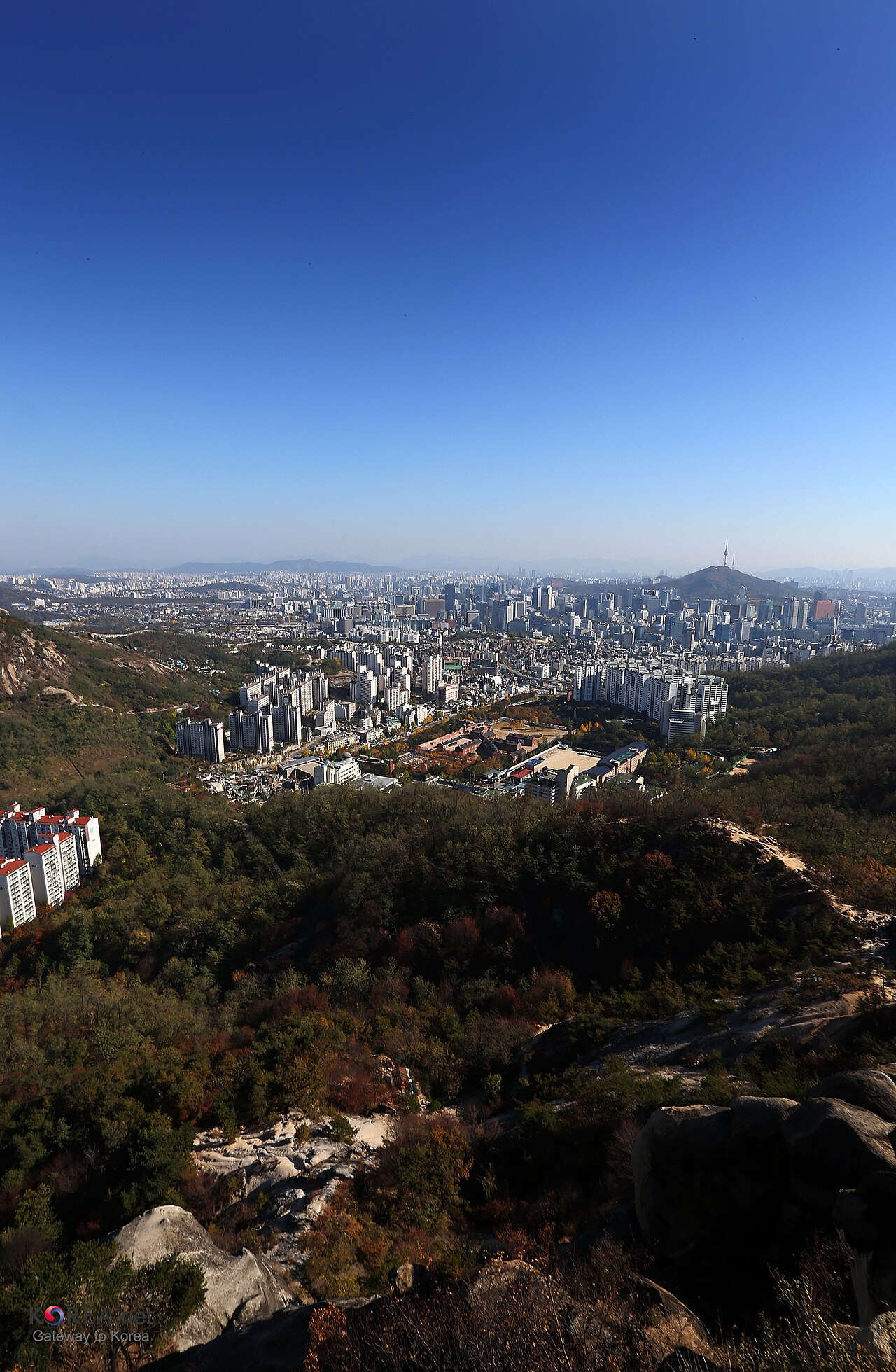 을지로 상권 동향 2026년 2분기 — 점포 +1.1%, 지금 뜨는 길과 들어온 브랜드